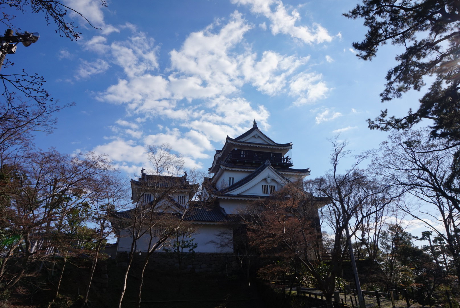 AndyHotDog 分享的打卡照片